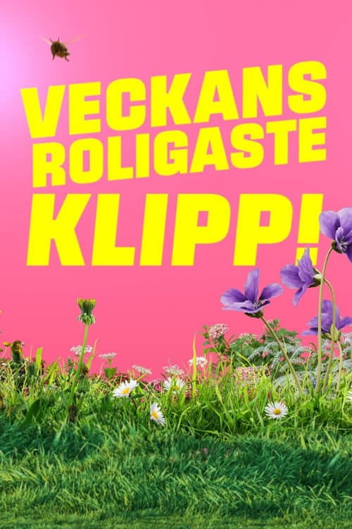 Veckans roligaste klipp afişi