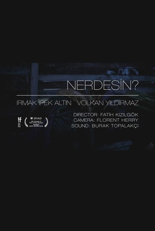 Nerdesin? afişi