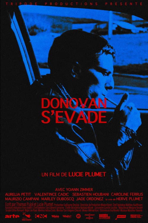 Donovan s'évade afişi