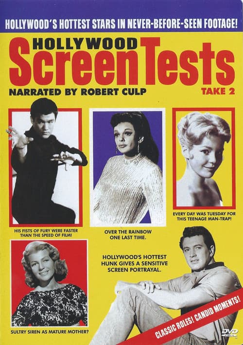 Hollywood Screen Tests: Take 2 afişi