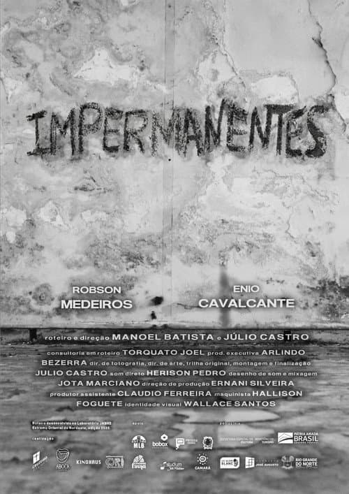 Impermanentes afişi