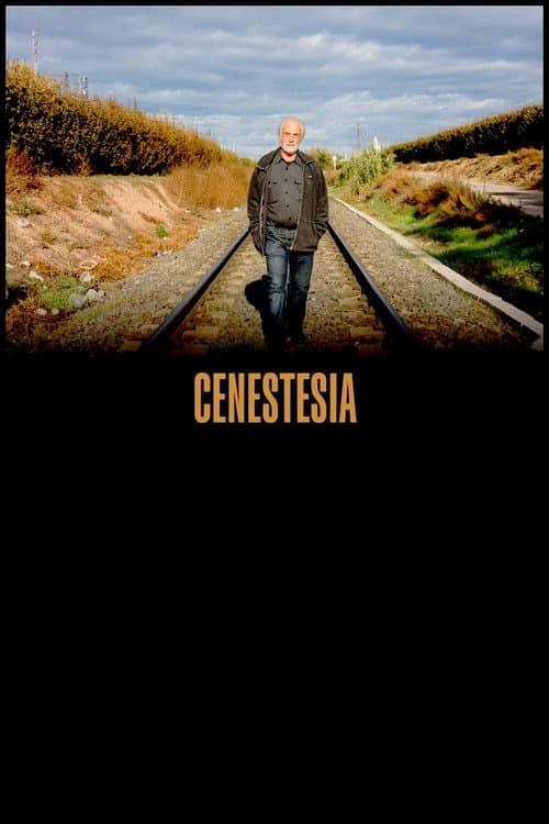 Cenestesia afişi