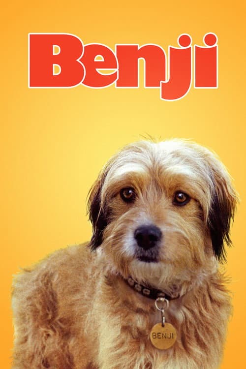 Benji afişi