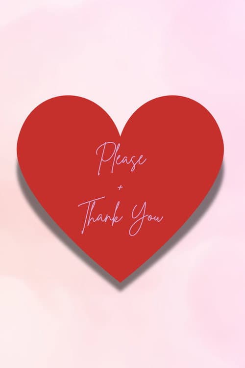 Please + Thank You afişi