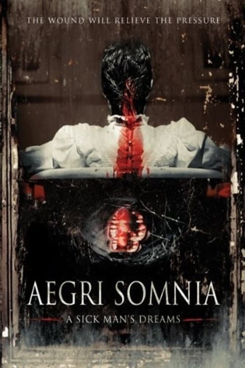 Aegri Somnia afişi