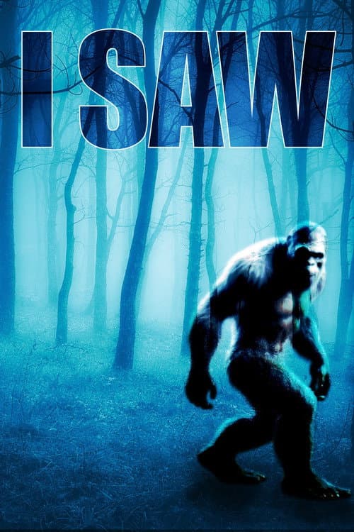I SAW afişi