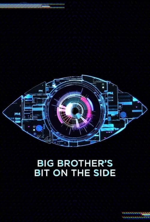 Big Brother's Bit on the Side afişi