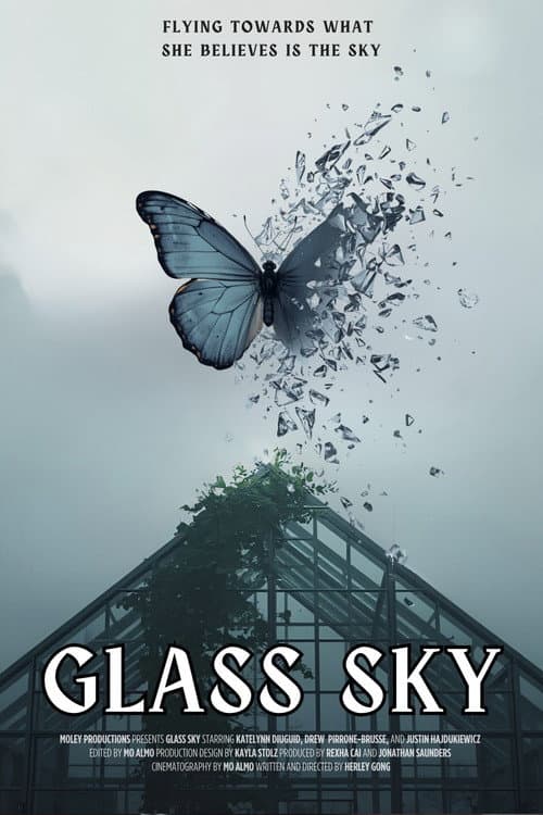Glass Sky afişi
