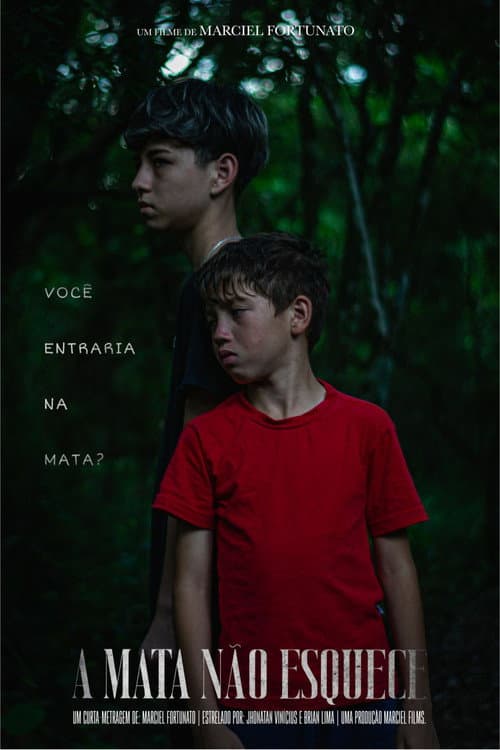 A Mata Não Esquece afişi