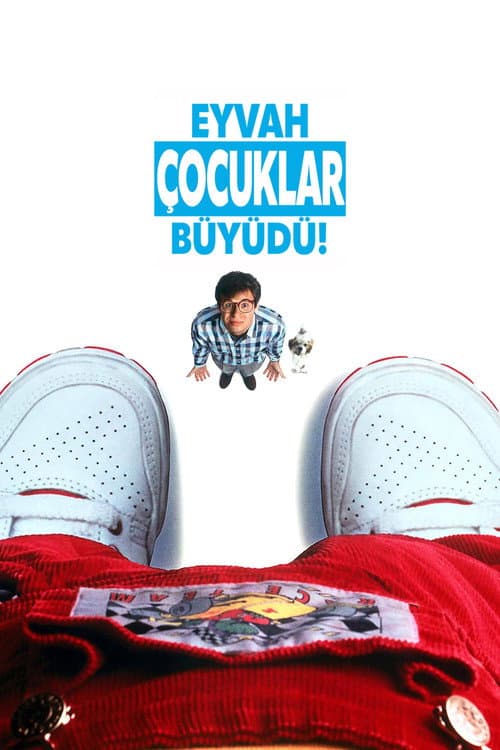 Eyvah Çocuklar Büyüdü! afişi