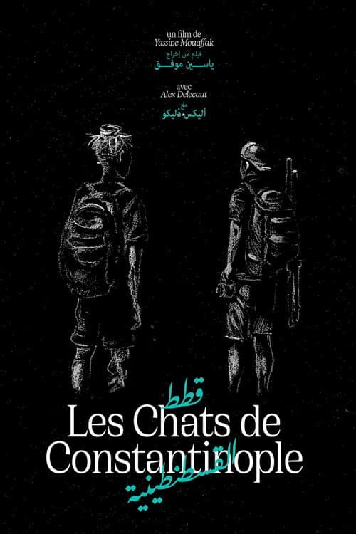Les Chats de Constantinople afişi