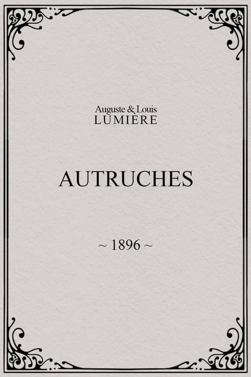 Autruches afişi