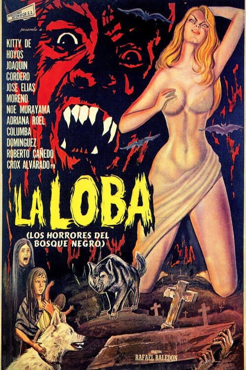 La loba afişi