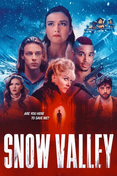 Snow Valley afişi