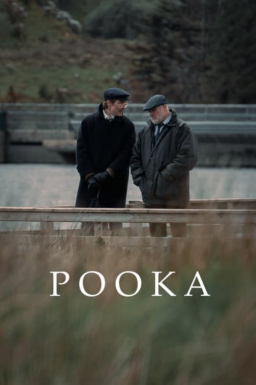 Pooka afişi
