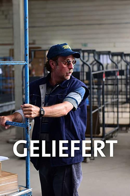 Geliefert afişi