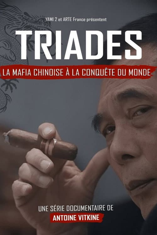 Triades : la Mafia chinoise à la conquête du monde afişi