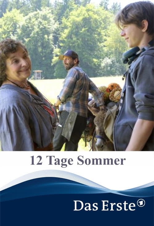 12 Tage Sommer afişi