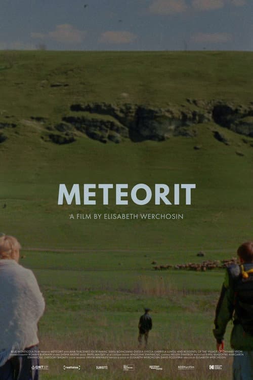 METEORIT afişi