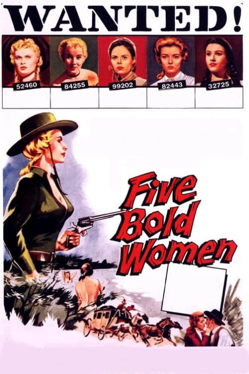 Five Bold Women afişi