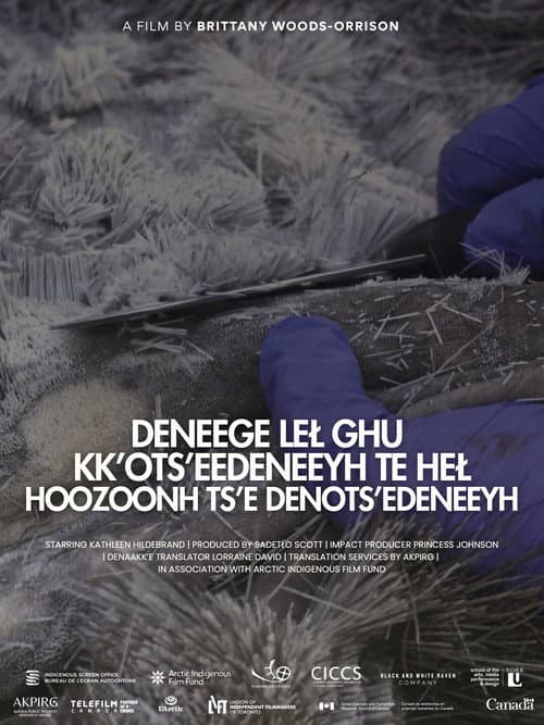 Deneege Leł Ghu Kk’ots’eedeneeyh Te Heł Hoozoonh Ts’e Denots’edeneeyh