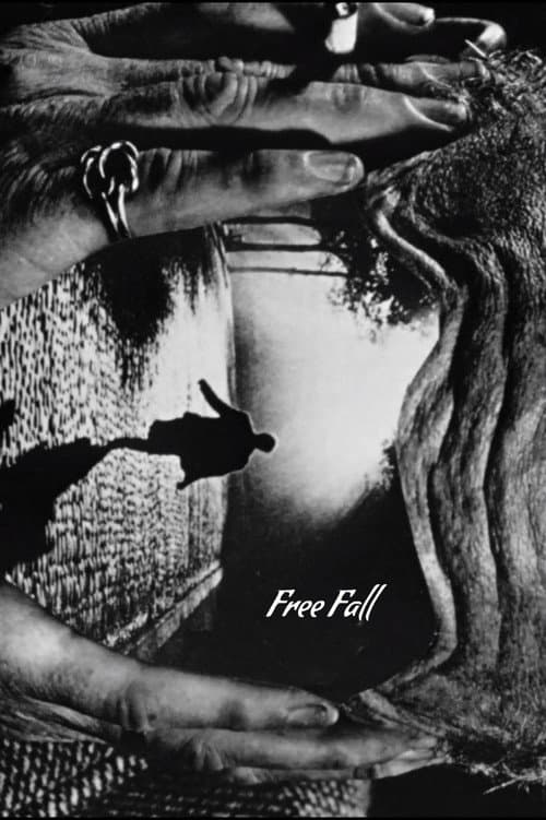 Free Fall afişi