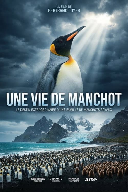 Une vie de manchot afişi