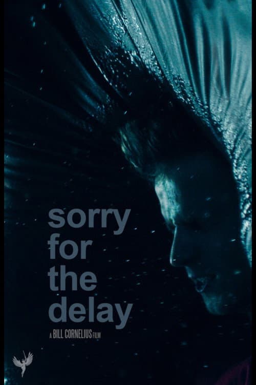 Sorry for the Delay afişi