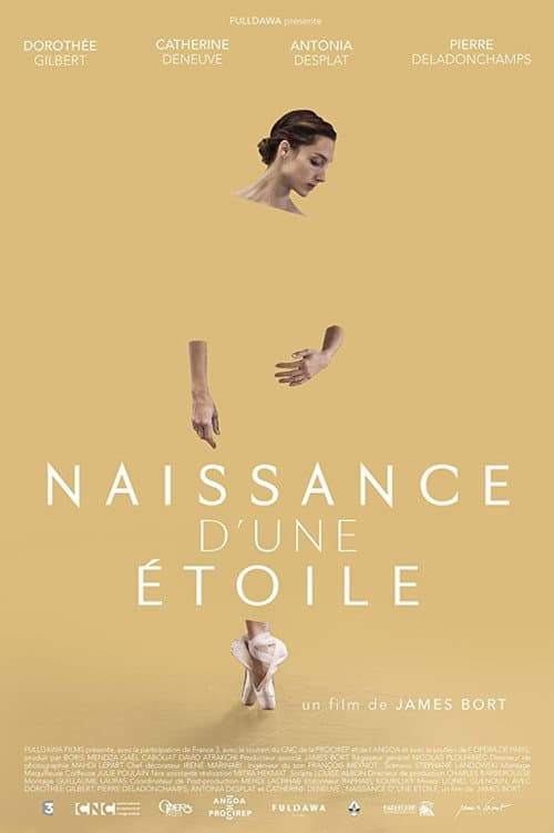 Naissance d'une étoile afişi