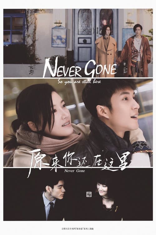 Never Gone afişi