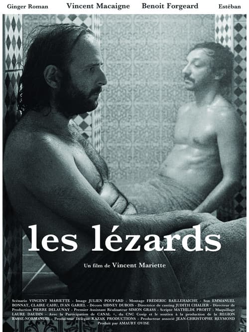 Les lézards afişi