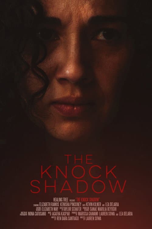 The Knock Shadow afişi
