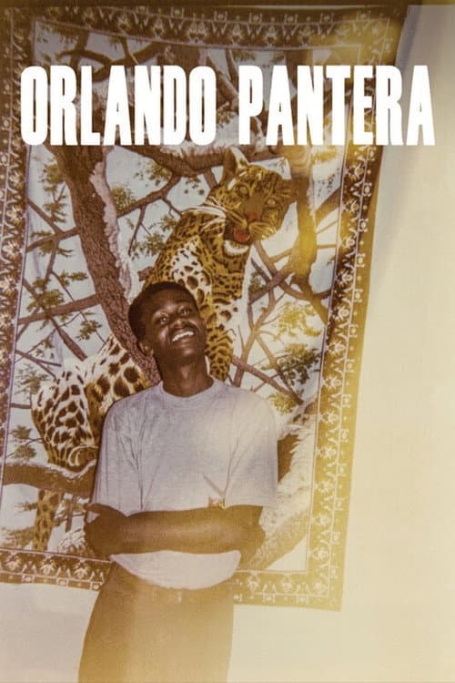 Orlando Pantera afişi