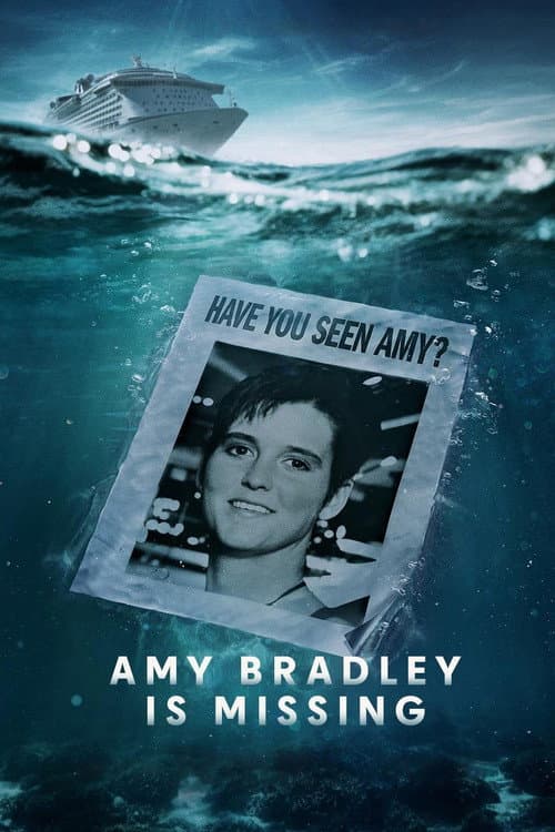 Amy Bradley Is Missing afişi