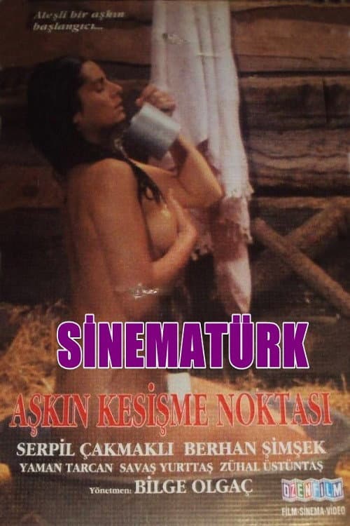 Aşkın Kesişme Noktası afişi