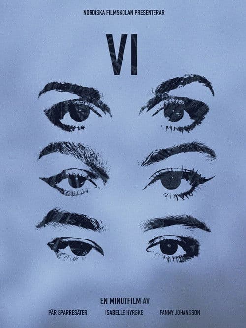 VI afişi