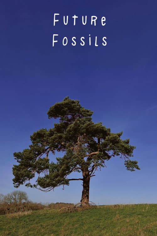 Future Fossils afişi