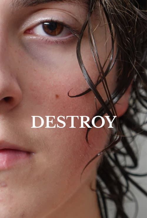 Destroy afişi