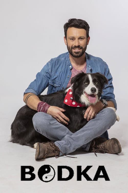 Bodka afişi