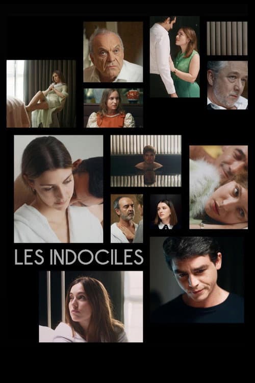 Les Indociles afişi