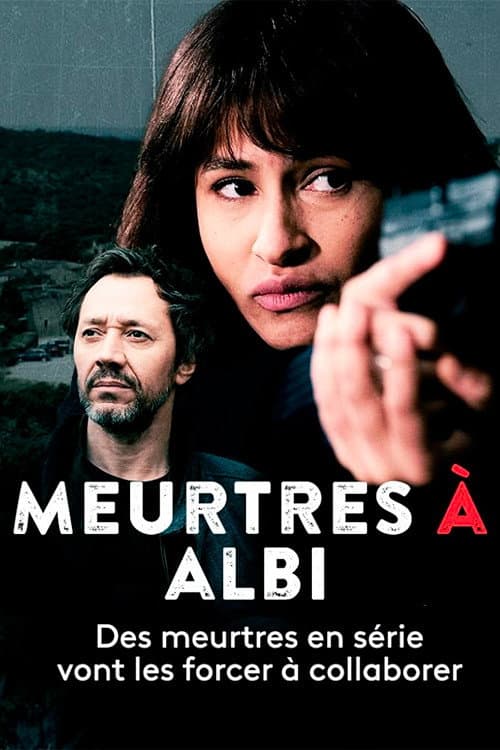 Meurtres à Albi afişi
