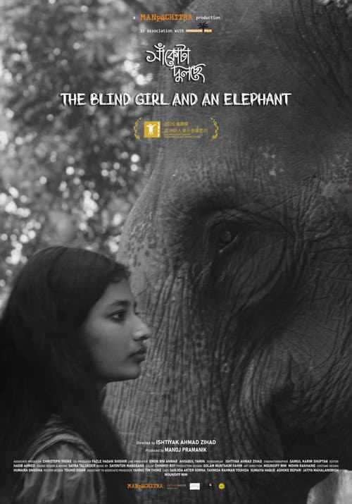 The Blind Girl and an Elephant afişi