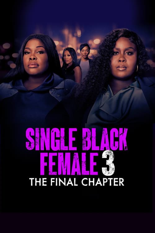 Single Black Female 3: The Final Chapter afişi