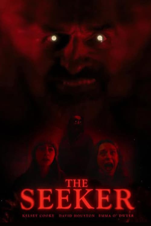 THE SEEKER afişi