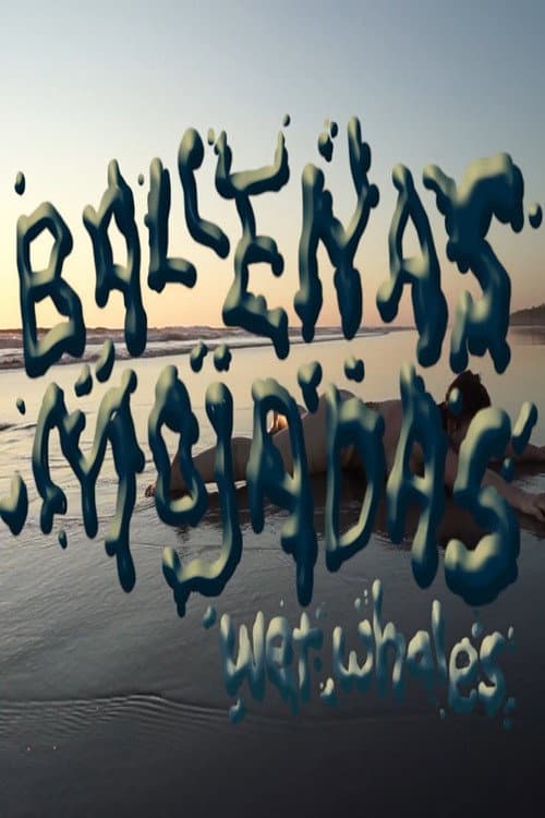 Ballenas Mojadas afişi