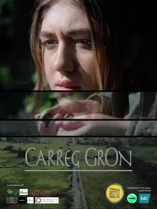 Carreg Gron afişi