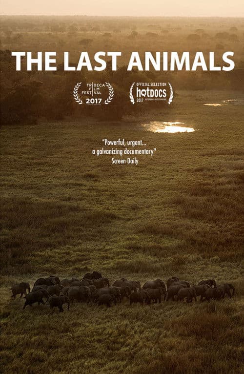 The Last Animals afişi