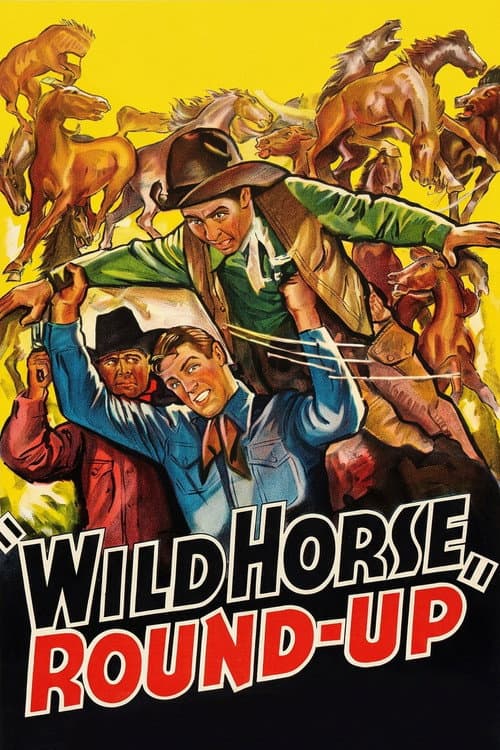 Wild Horse Round-Up afişi