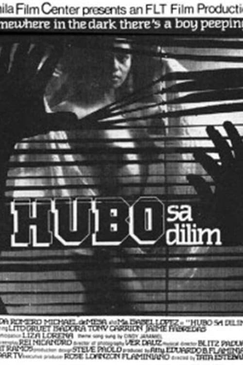 Hubo sa dilim afişi