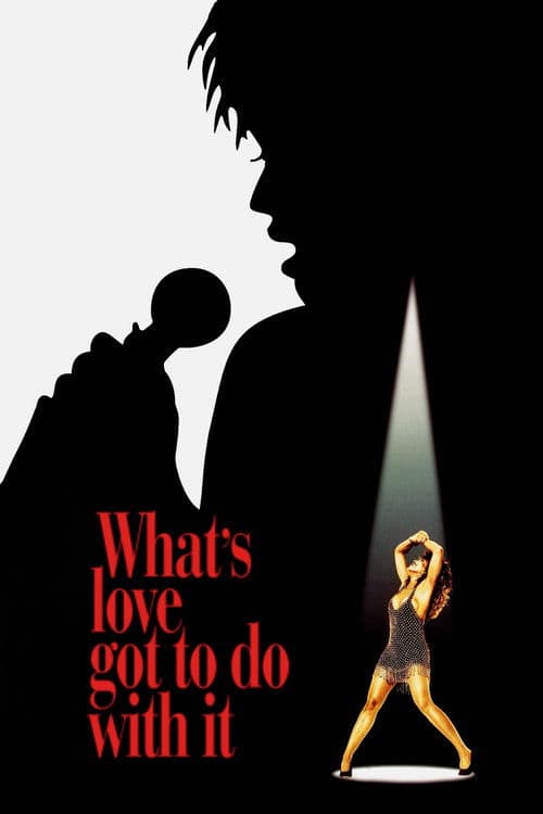 What's Love Got to Do with It afişi